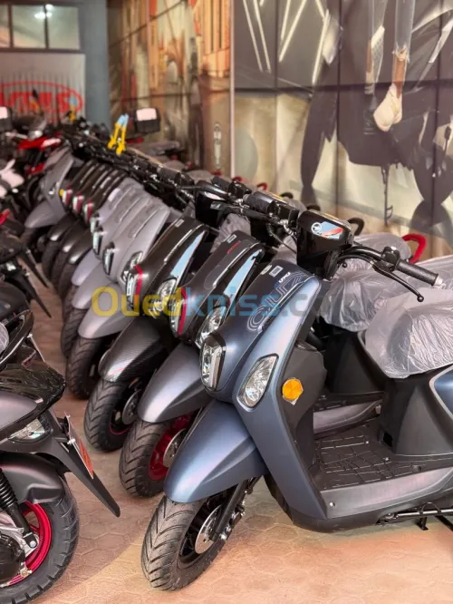 Vms Cuxi 2 2025