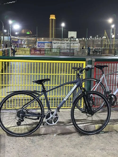 Vélo VTC scrapper 