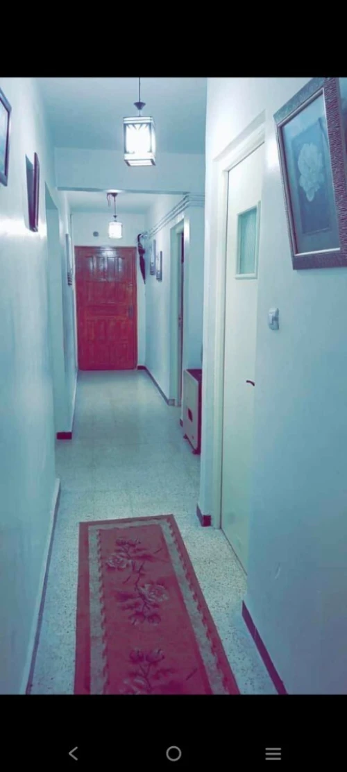 Location Appartement F3 Alger Les eucalyptus