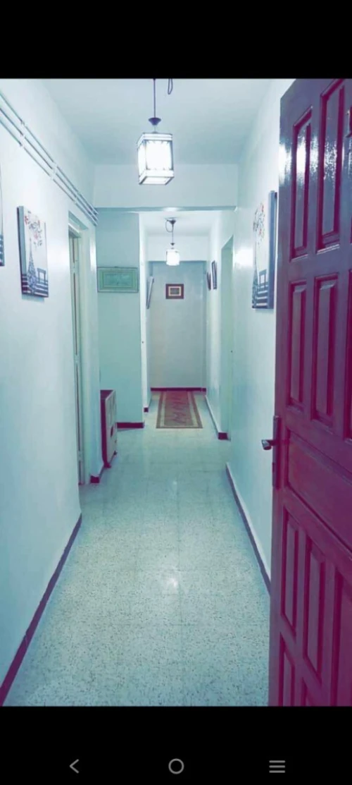 Location Appartement F3 Alger Les eucalyptus