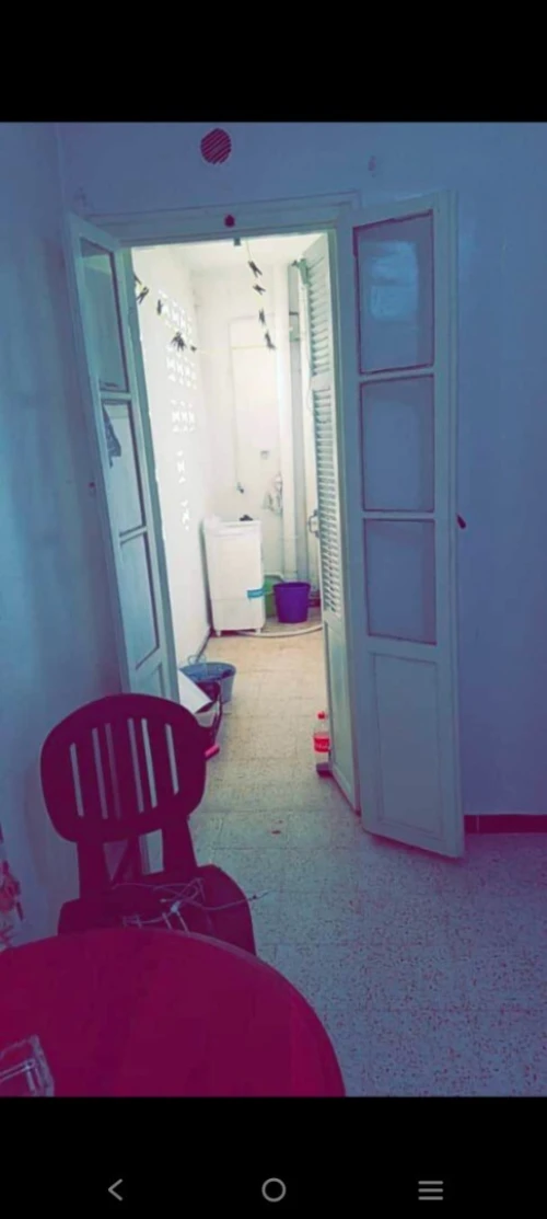 Location Appartement F3 Alger Les eucalyptus