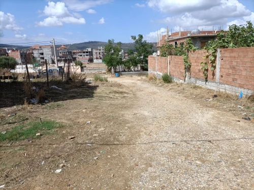 Vente Terrain El Tarf El taref
