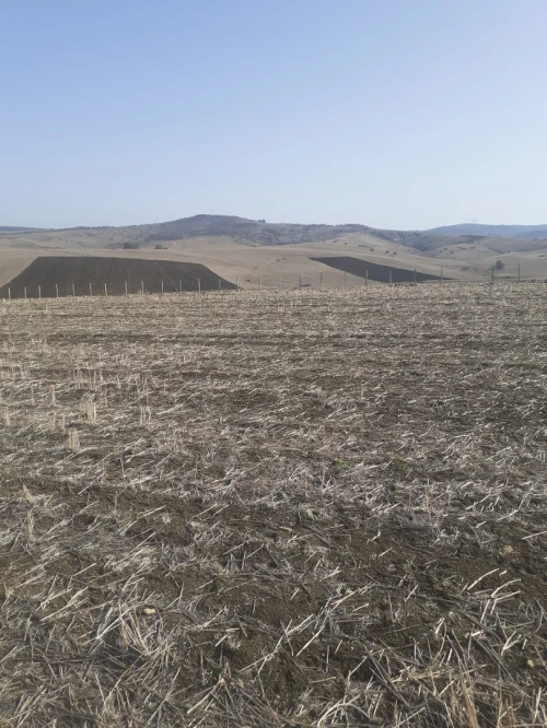 Vente Terrain Agricole El taref Chefia