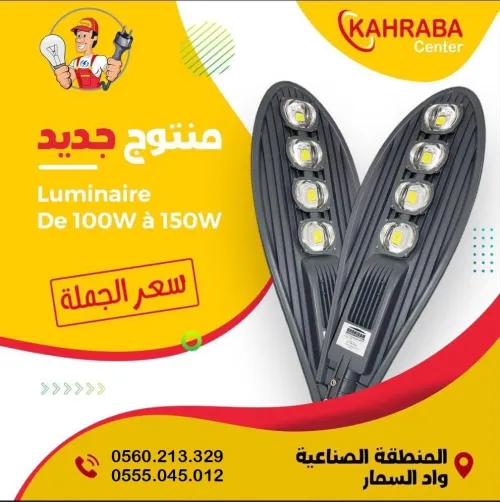 Luminaire éclairage public