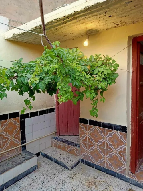Vente Appartement F4 Batna Ngaous