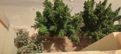 Vente Appartement F3 Oran Oued tlelat