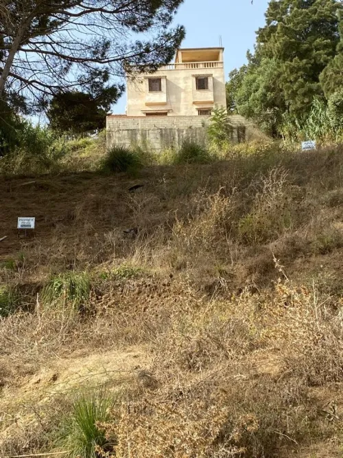 Vente Terrain Alger Bouzareah