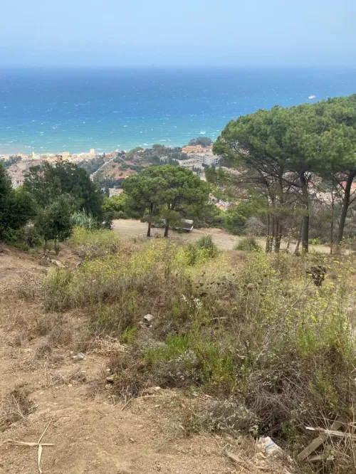 Vente Terrain Alger Bouzareah