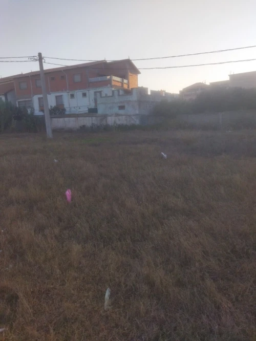 Vente Terrain Alger Hraoua