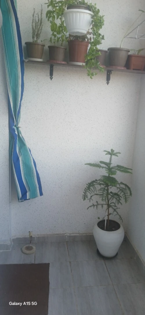 Vente Appartement F3 Alger Mahelma