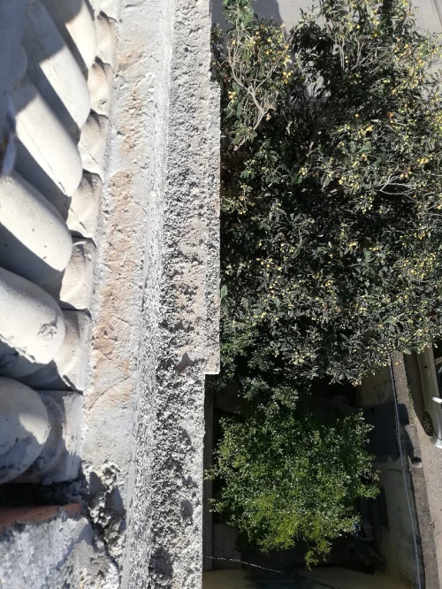 Vente Villa Alger El marsa