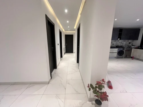 Location Appartement F4 Alger Dely brahim