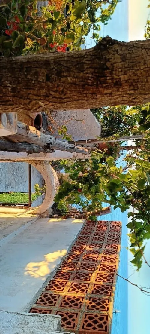 Location Bungalow F3 Béjaïa Toudja