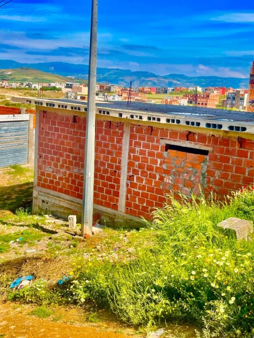 Vente Local Tlemcen Souahlia