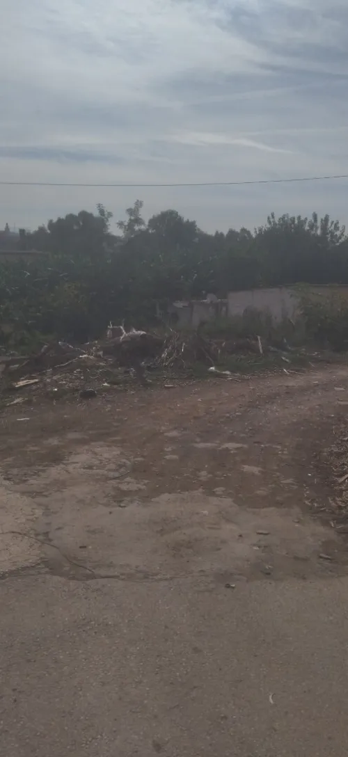 Vente Terrain Alger Bordj el kiffan