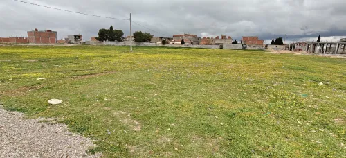 Vente Terrain Sétif Guidjel