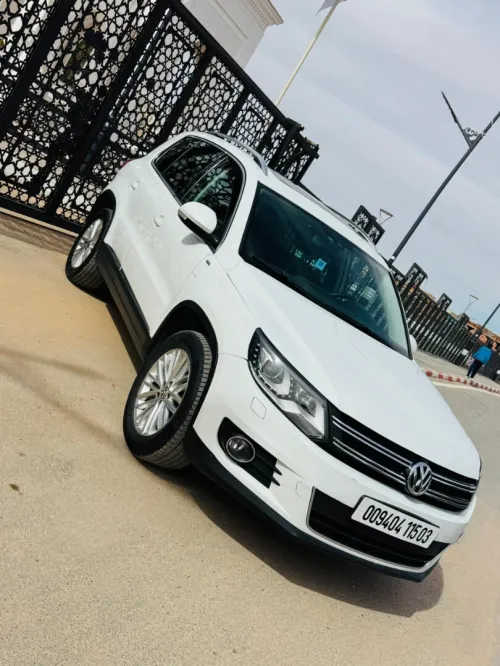 Volkswagen Tiguan 2015 Cup