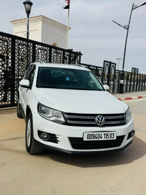 Volkswagen Tiguan 2015 Cup