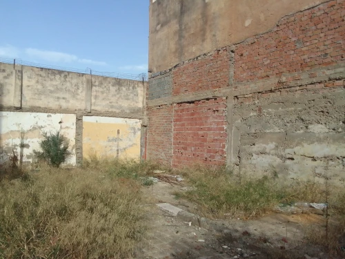 Vente Terrain Blida Blida