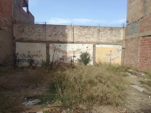 Vente Terrain Blida Blida