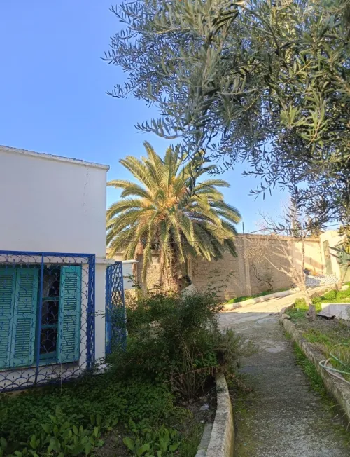 Vente Villa Constantine Ibn ziad