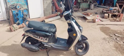 cuxi LINHAI 2021