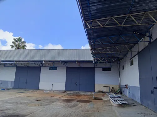 Location Hangar - Usine El Tarf Lac des oiseaux