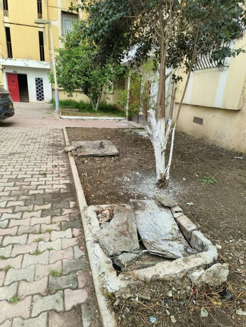 Vente Appartement F4 Blida Boufarik