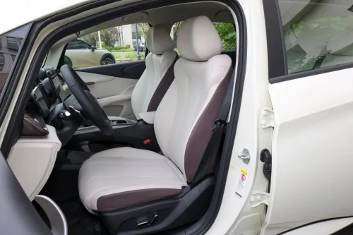 BYD Dolphin 2025 Luxe