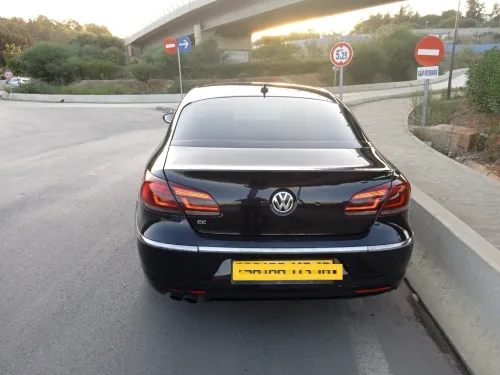 Volkswagen Passat CC 2013 Passat CC