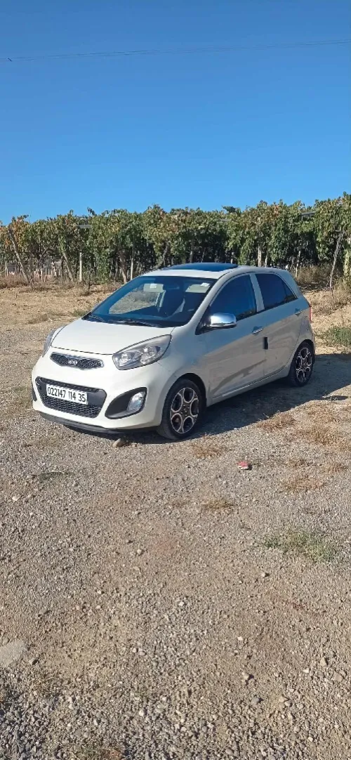 Kia Picanto 2014 Brazilia