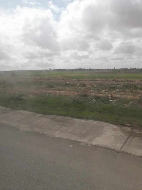 Vente Terrain Agricole Djelfa Ain oussara