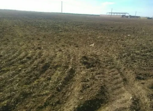 Vente Terrain Agricole Djelfa Ain oussara