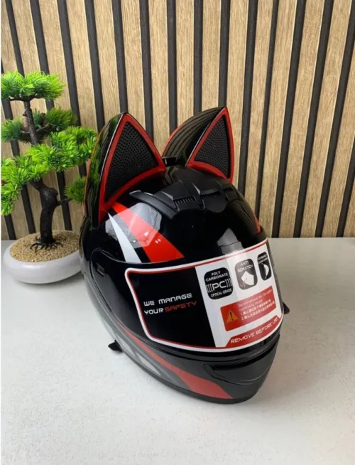 Casque de moto