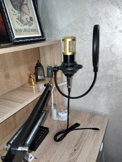 Micro BM800 neuf + accessoires (qualité pro)