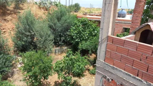Vente Villa Bouira Bouira