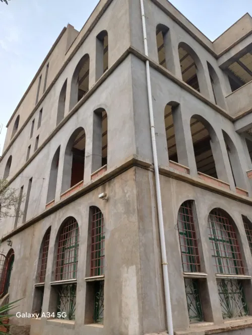 Vente Carcasse Alger Saoula