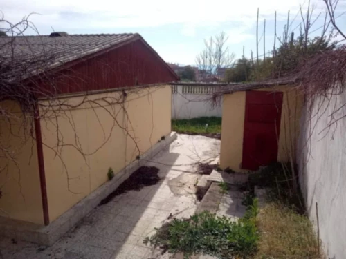 Vente Terrain Skikda Skikda