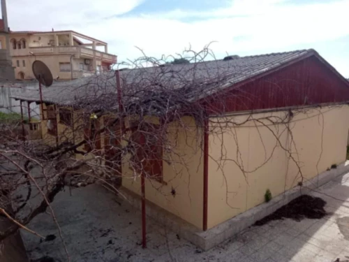 Vente Terrain Skikda Skikda