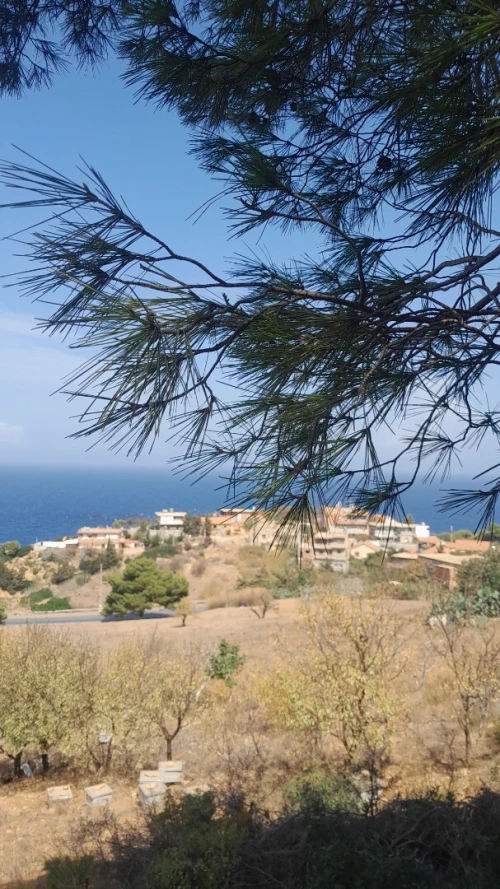 Vente Terrain Tipaza Gouraya