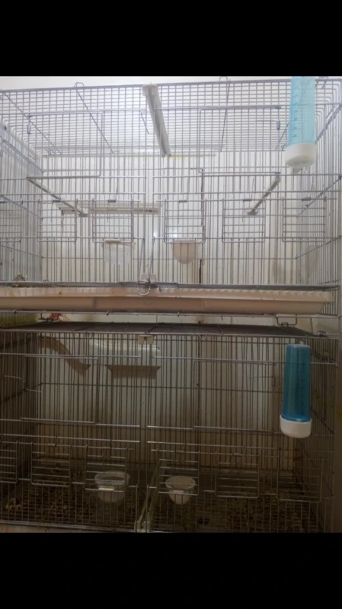 cage