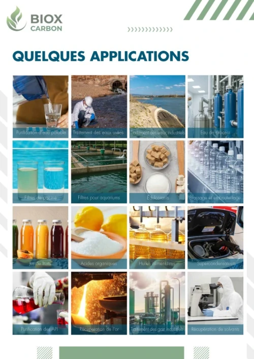 Charbon Actif Poudre (PAC-950) - USINE - Agro & Pharma