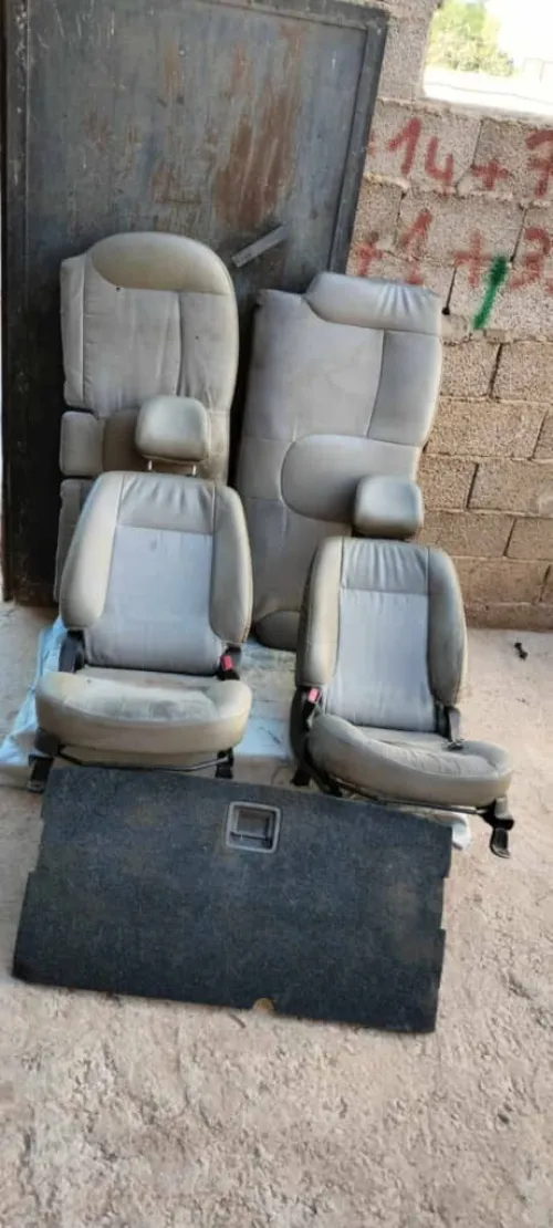 Picanto fanny