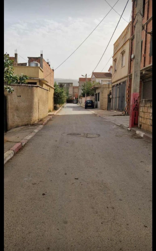 Vente Terrain Blida Larbaa
