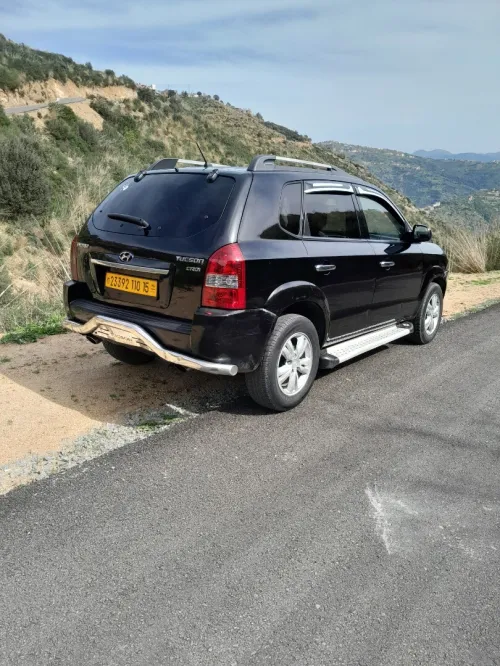 Hyundai Tucson 2010 Tucson