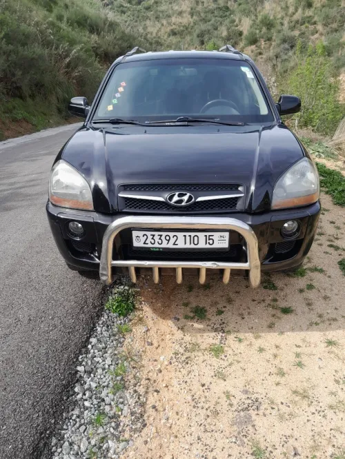 Hyundai Tucson 2010 Tucson