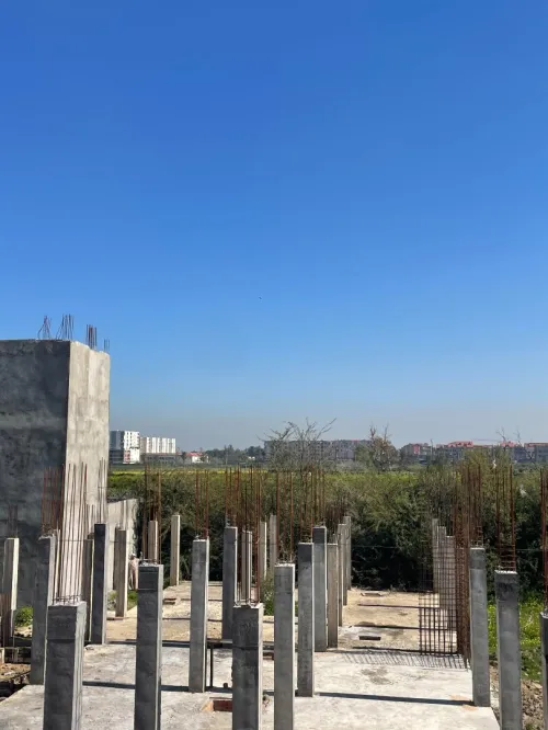 Vente Terrain Blida Boufarik