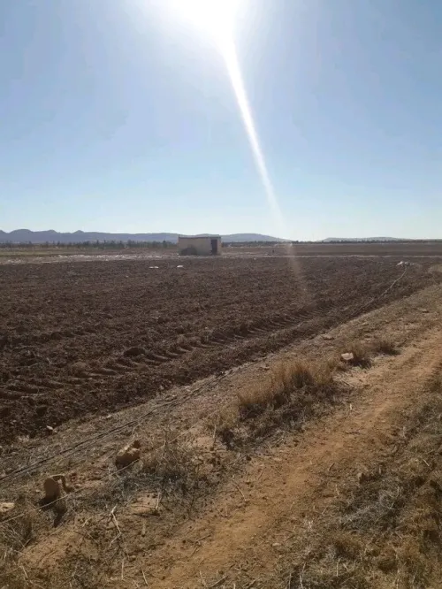 Vente Terrain Agricole Djelfa Ain oussara
