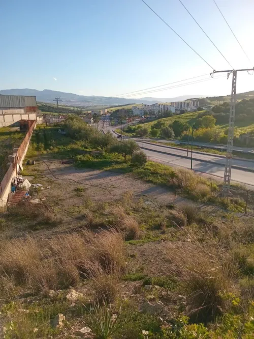 Vente Hangar - Usine Guelma Guellat bou dbaa
