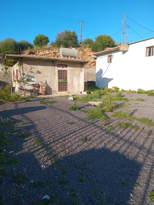 Vente Hangar Guelma Guellat bou dbaa
